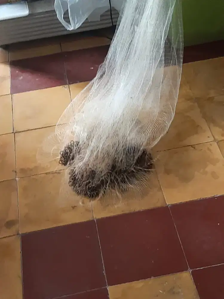 Jala ikan kuat kokoh