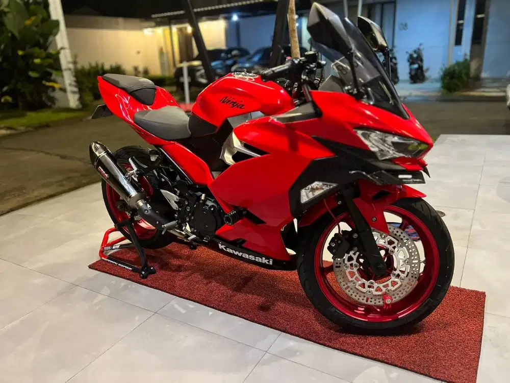 LOW KM Ninja 250 FI 2018 | DELKEVIC | MICHELIN | PROSPEED | WR3