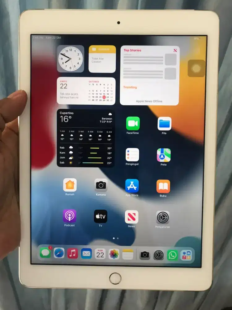 iPad Air Gen 2th Wi-Fi 32GB Normal Bebas Reset