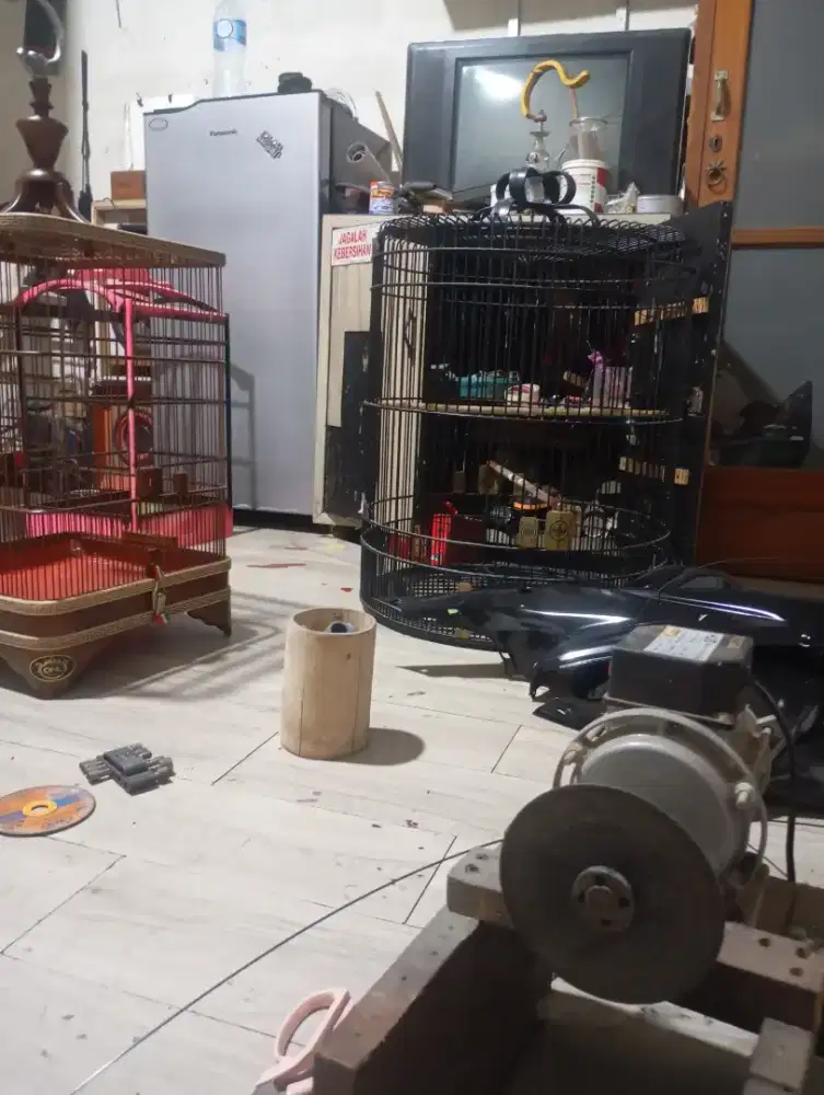 Servise sangkar burung jakarta