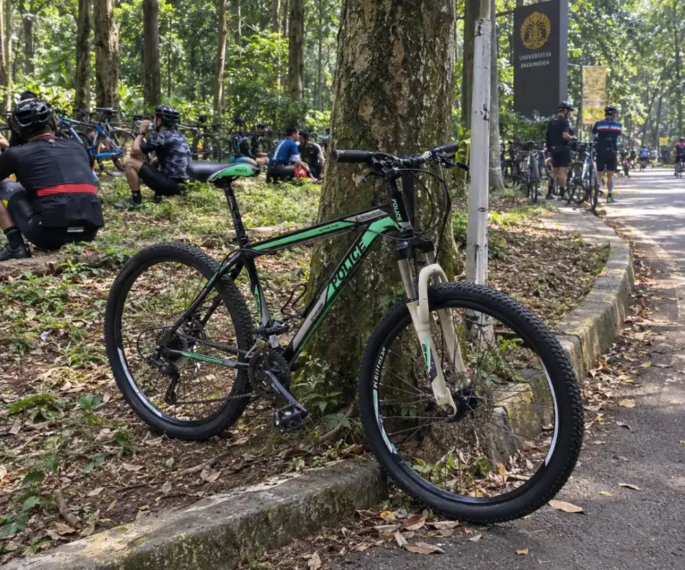 Sepeda gunung police 911