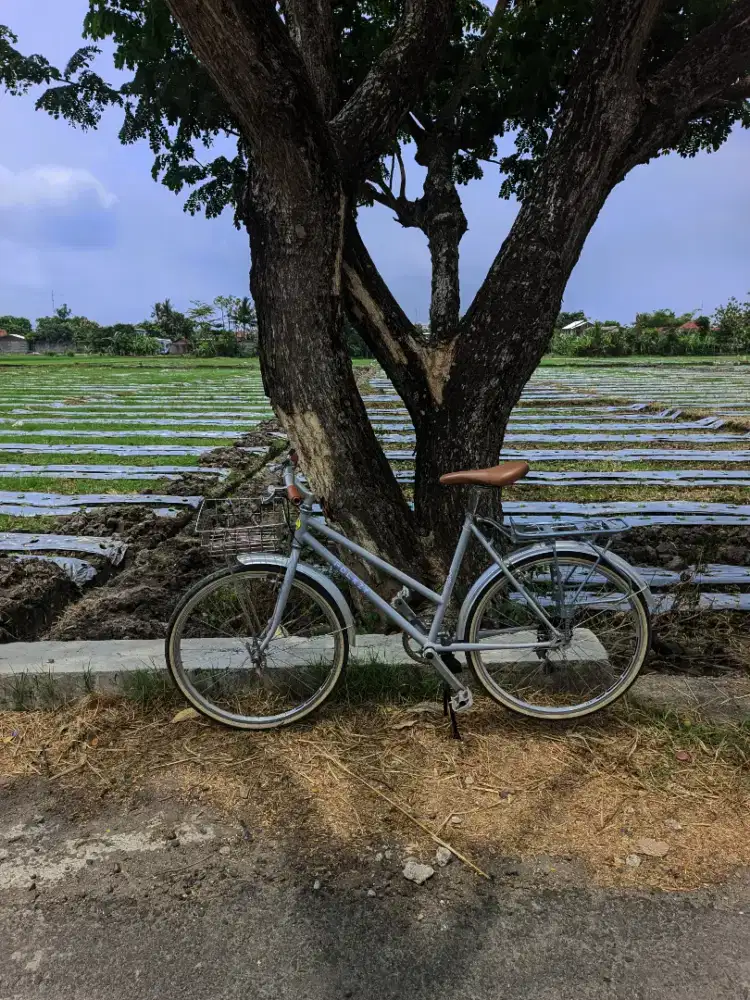 Sepeda Federal Lady Folkzy commuter bike