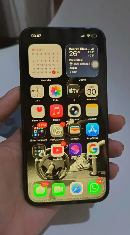 Iphone 13 128 gb all operator