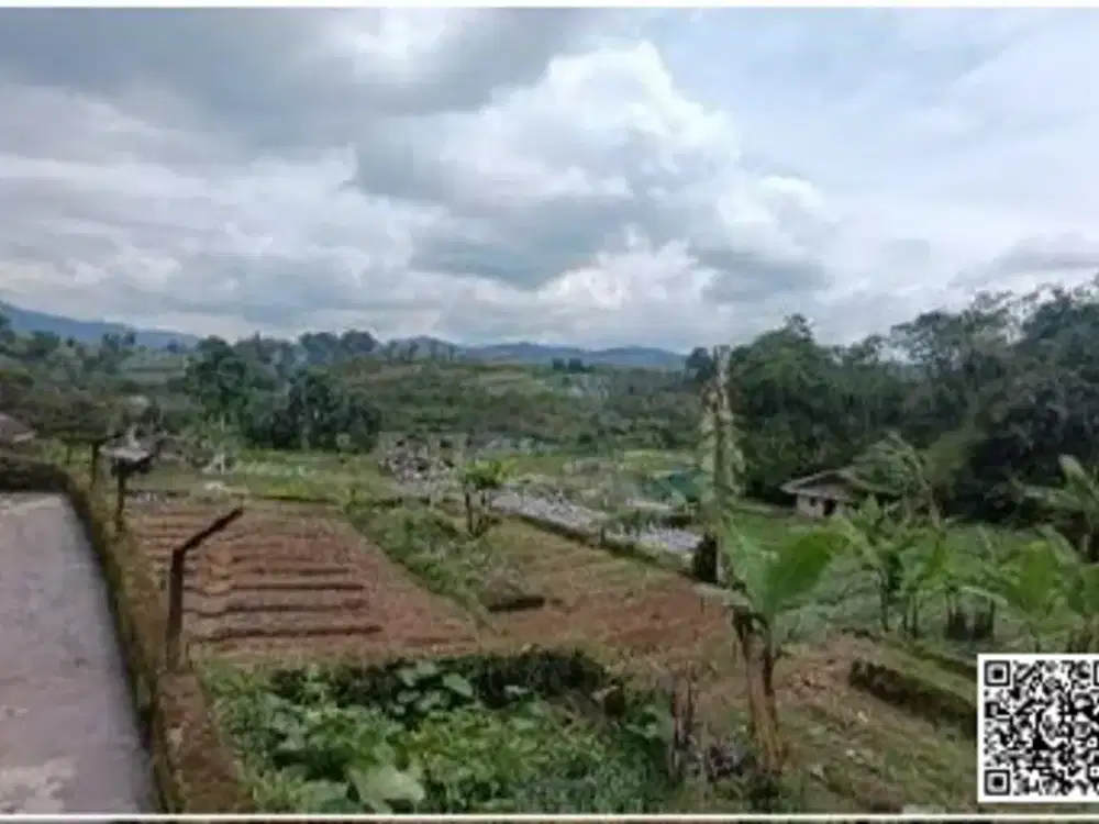 Tanah Lelang Turun Harga Daerah Strategis Dekat Kota