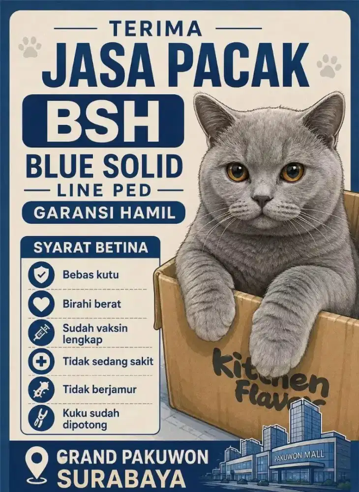 jasa pacak atau kawin kucing bsh