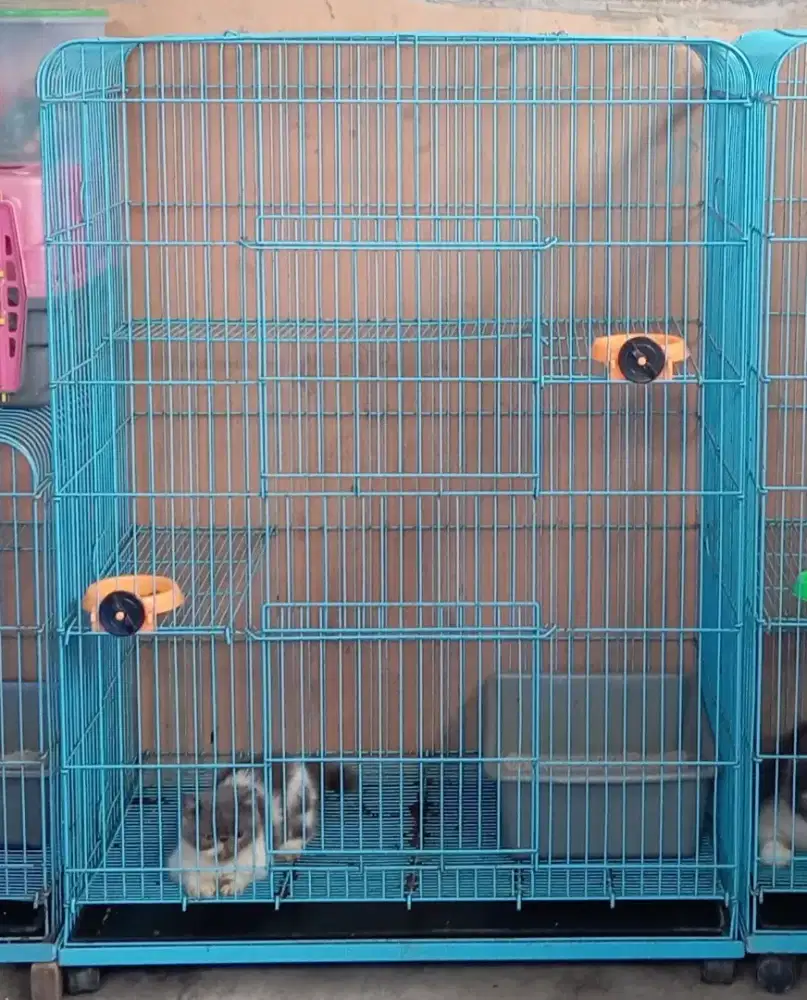 Kandang 2 tingkat Fullbesi