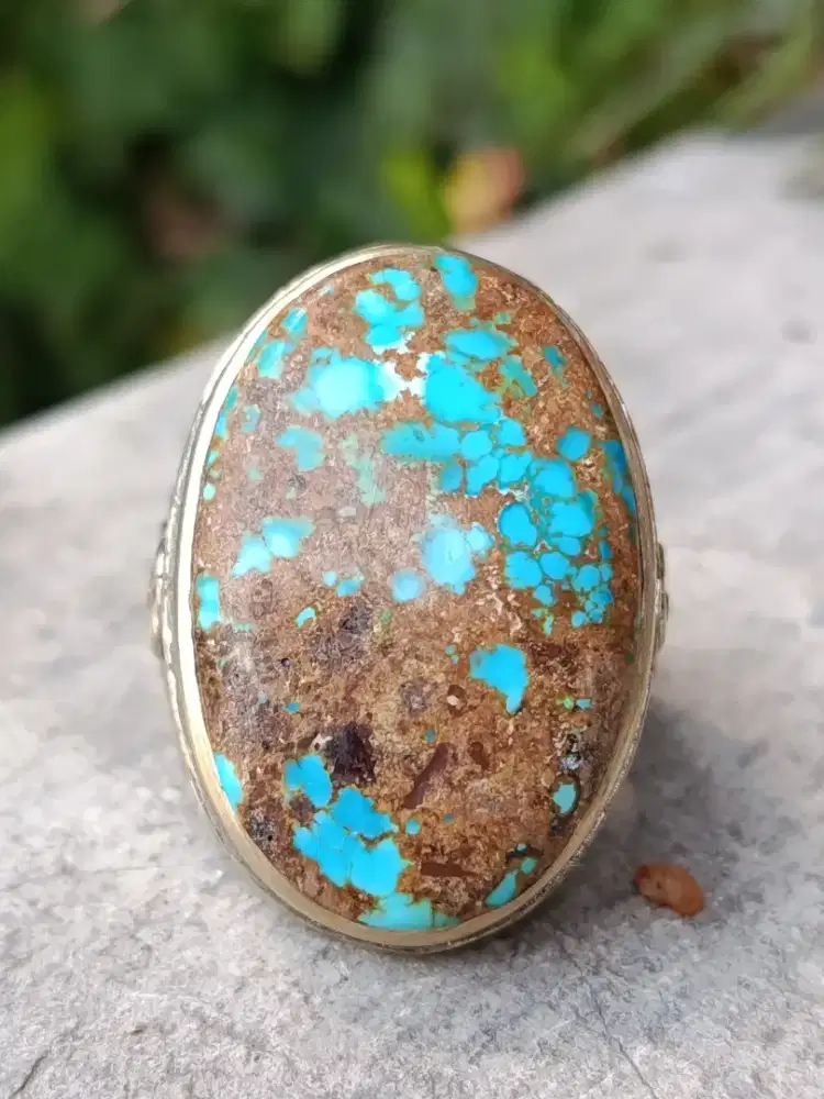 Pirus Persia Fancy Big