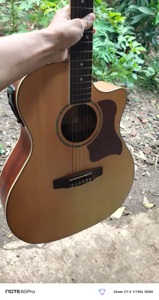 Gitar Cort Original