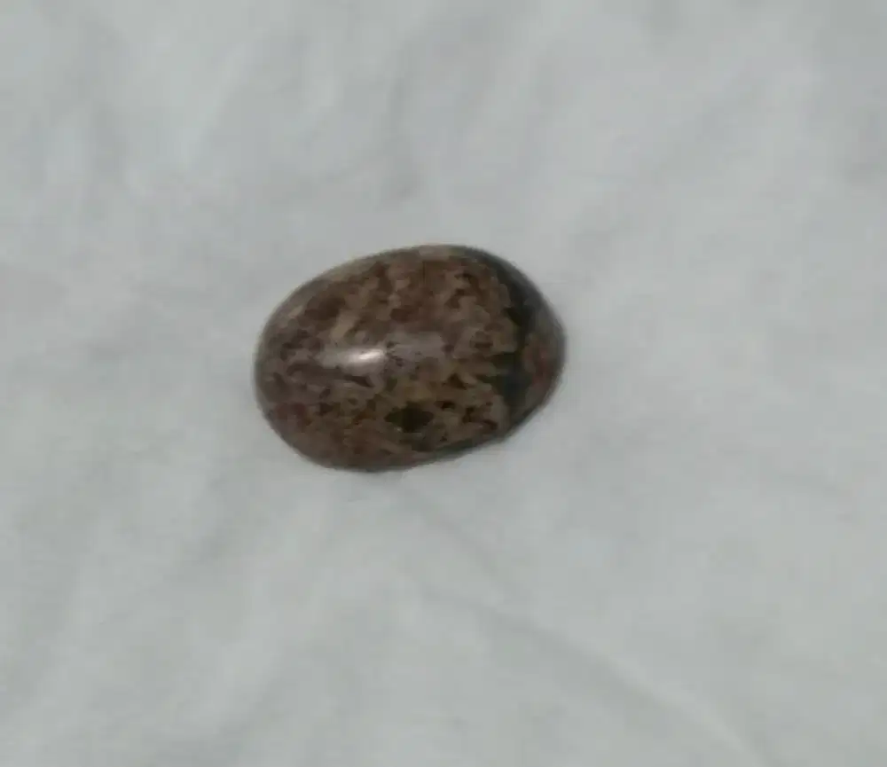 skin jasper/Batu badar asem/Upas/Wisa