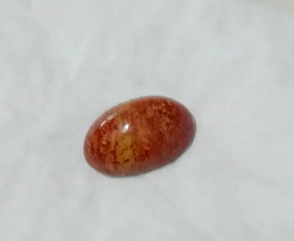 Red Jasper Fosil/Batu fosil kayu