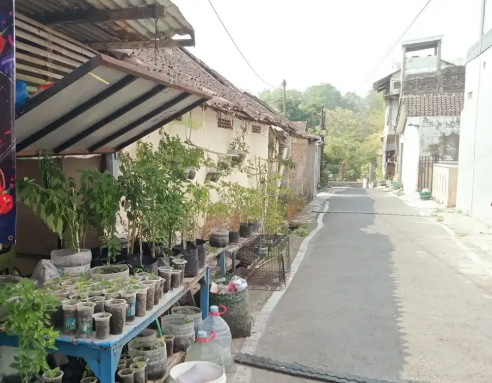 Dijual Tanah bonus bangunan UNS L:55m