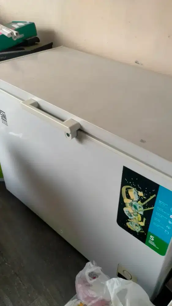 Freezer 300L RSA