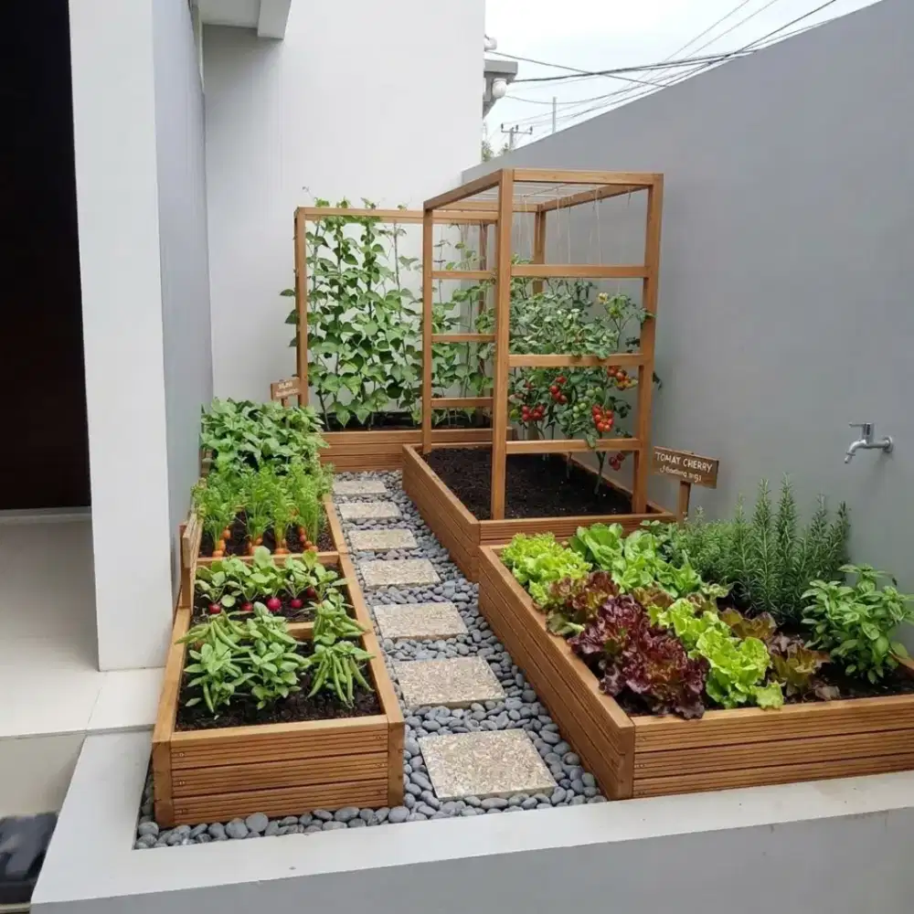 Jasa pembuatan taman sayur Jabodetabek