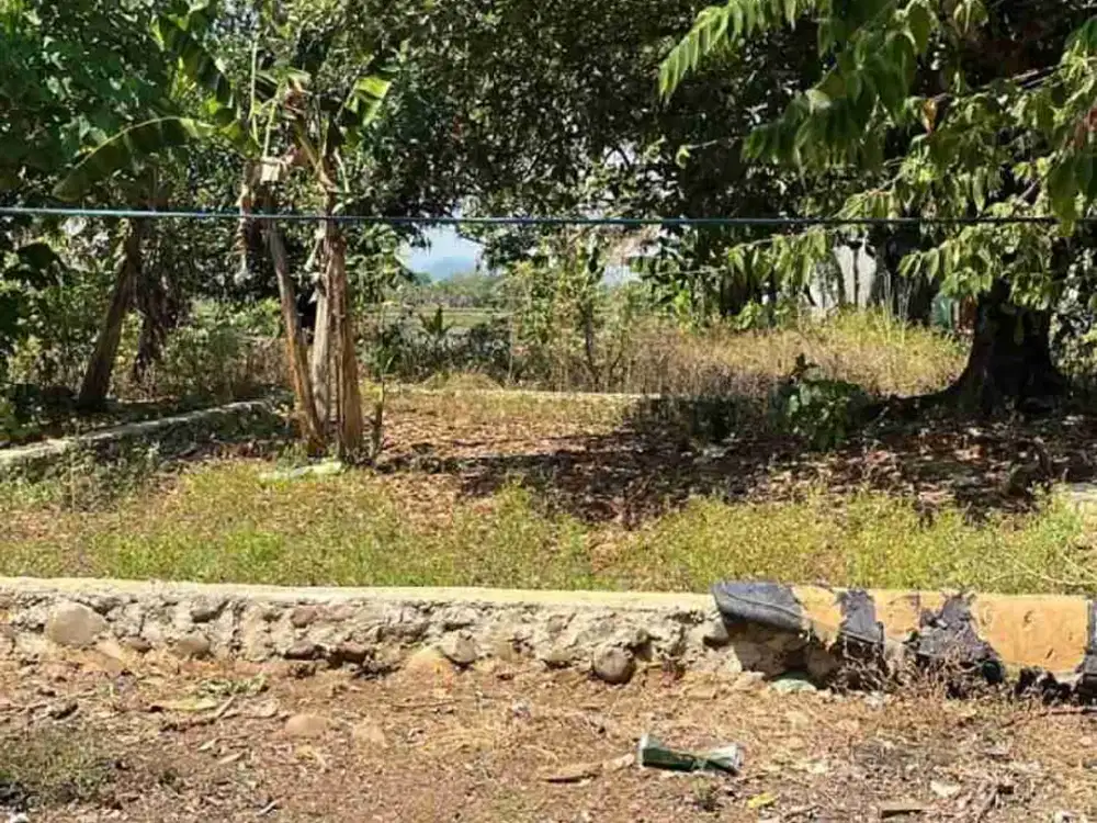 DIJUAL TANAH KAVLING SAMATA DALAM KOMPLEKS