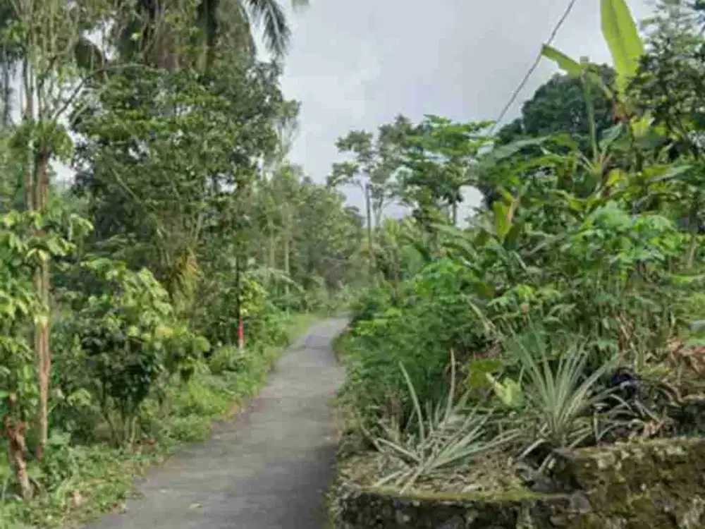 Tanah MURAH Di Pakem SHM Pekarangan