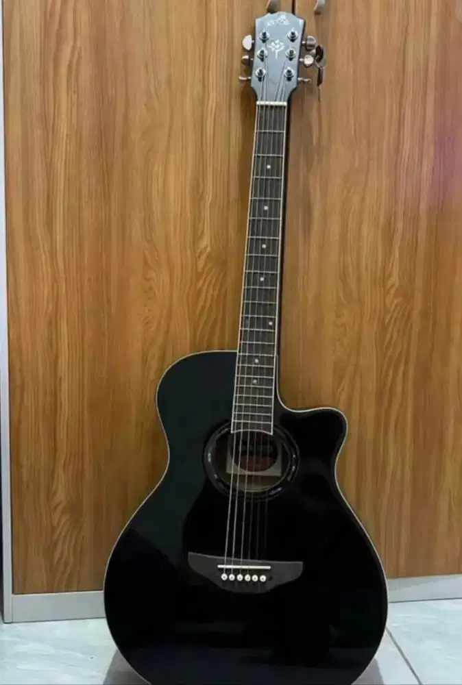gitar akustik-elektrik model apx 500 (custom)