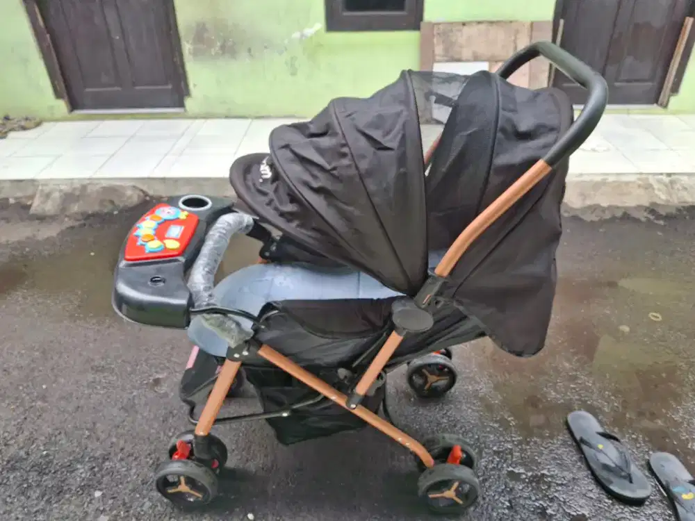 Stroller kitty mom