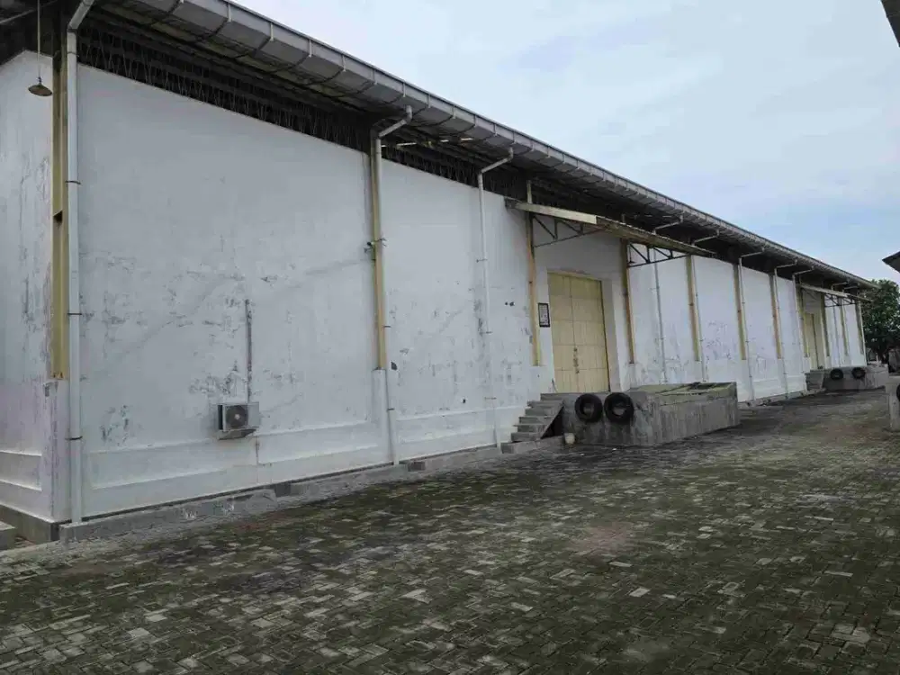 DISEWAKAN GUDANG SEMARANG TIMUR/ JL. RAYA SEMARANG DEMAK