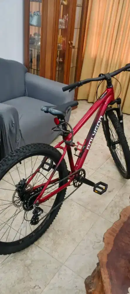 Sepeda MTB Polygon Cascade 3