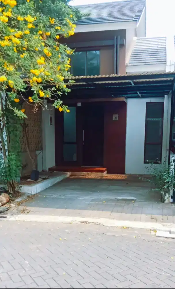 Rumah disewakan 1 lantai  2KM Cluster Ivy Fortune Essence Graha Raya