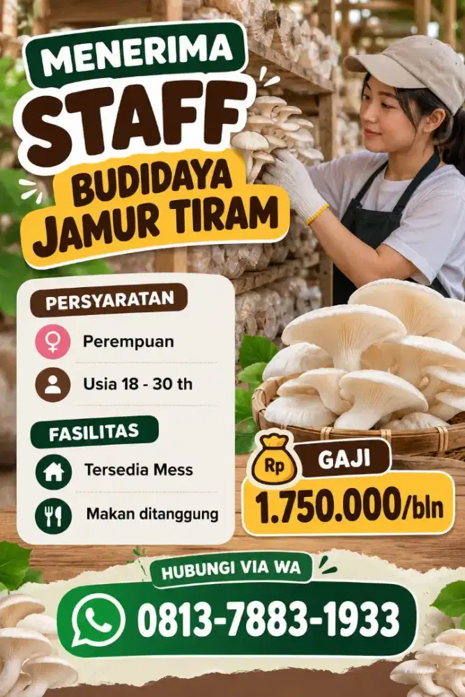 Menerima Staff Perempuan Budidaya Jamur Tiram