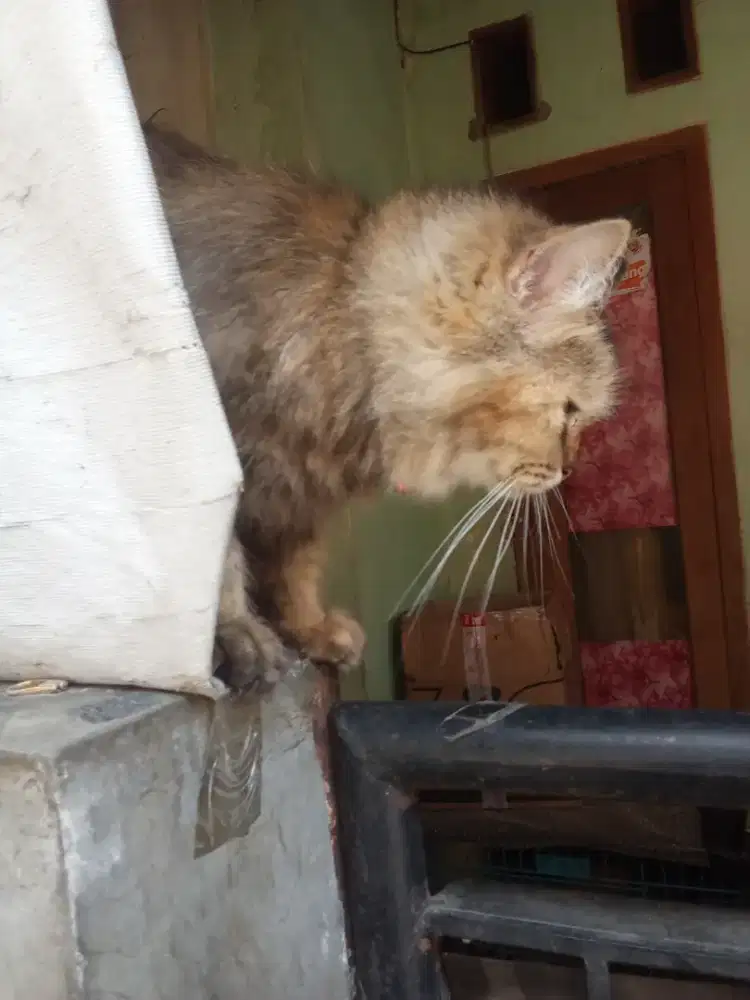 Mencari lowongan pekerjaan