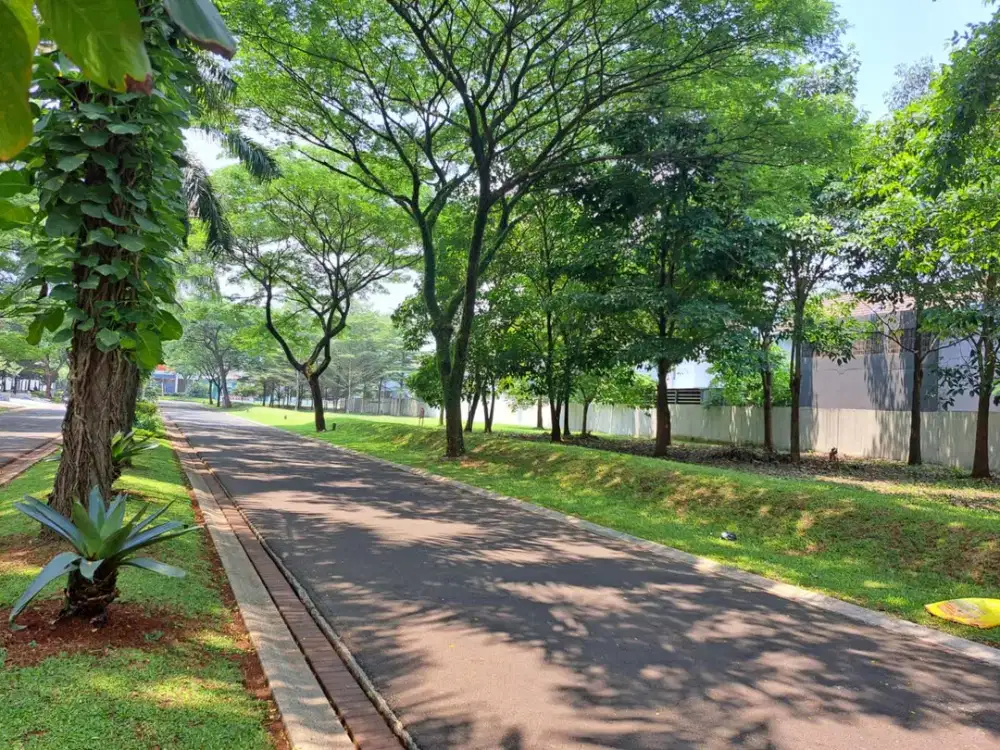 Kavling Siap Bangun Serpong Lagoon Posisi di Boulevard