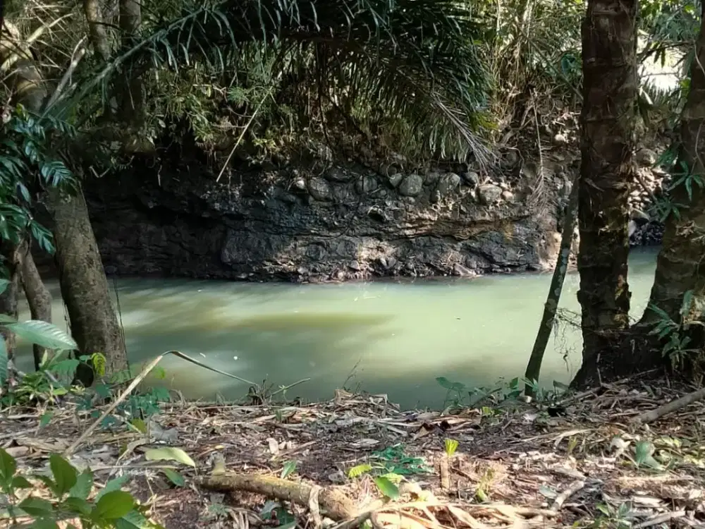 Dijual Tanah Lokasi Super Strategis View Sungai Besar dan Kebun