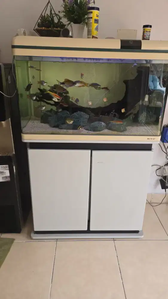 Aquarium ikan air tawar 1 set