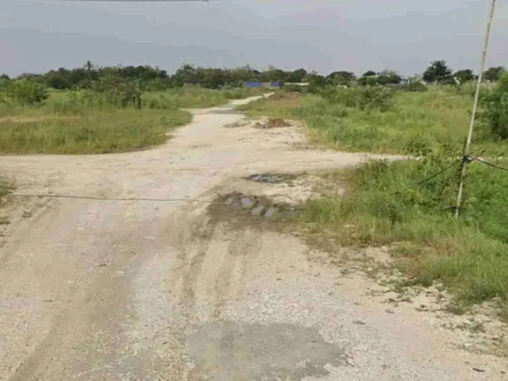 Disewakan Lahan strategis di Telukjambe Karawang