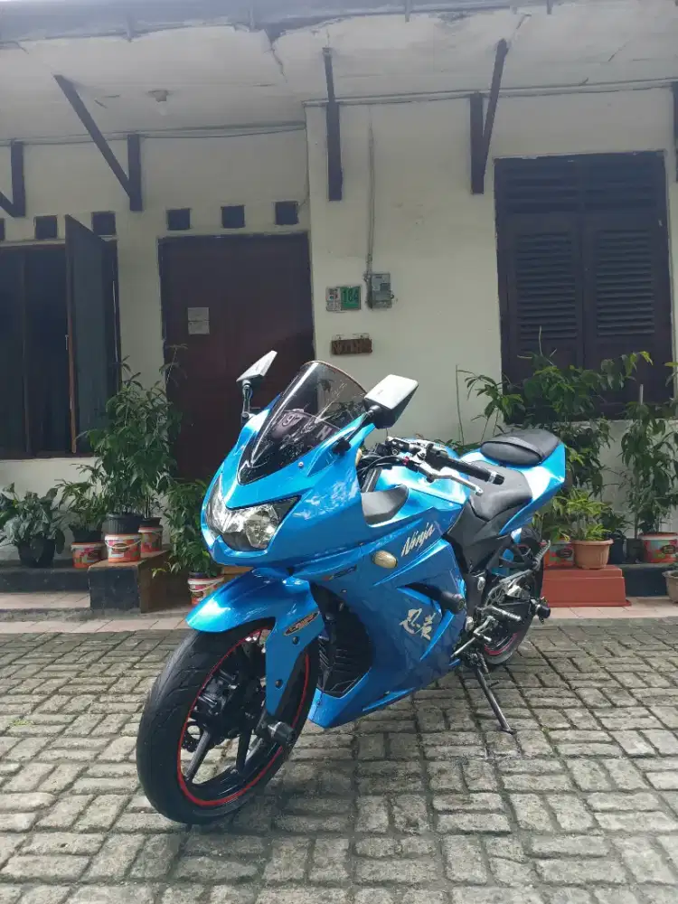 Ninja 250 karbu 4 tak