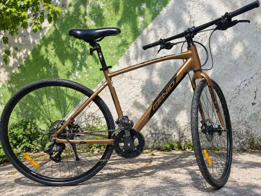 Sepeda hybrid GENIO SWEEP R