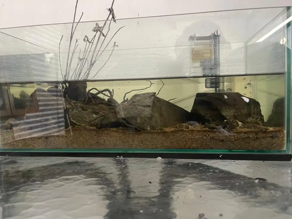 Aquarium hias bekas