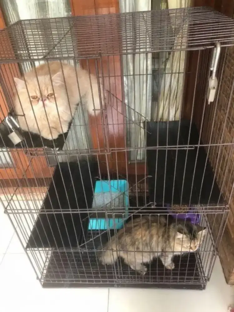 Kandang Kucing Lipat Tingkat 3 Bekas
