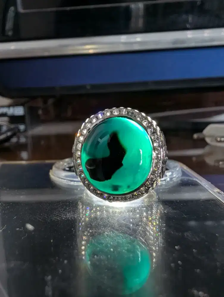 BACAN DOKO COKLAT TOTOL