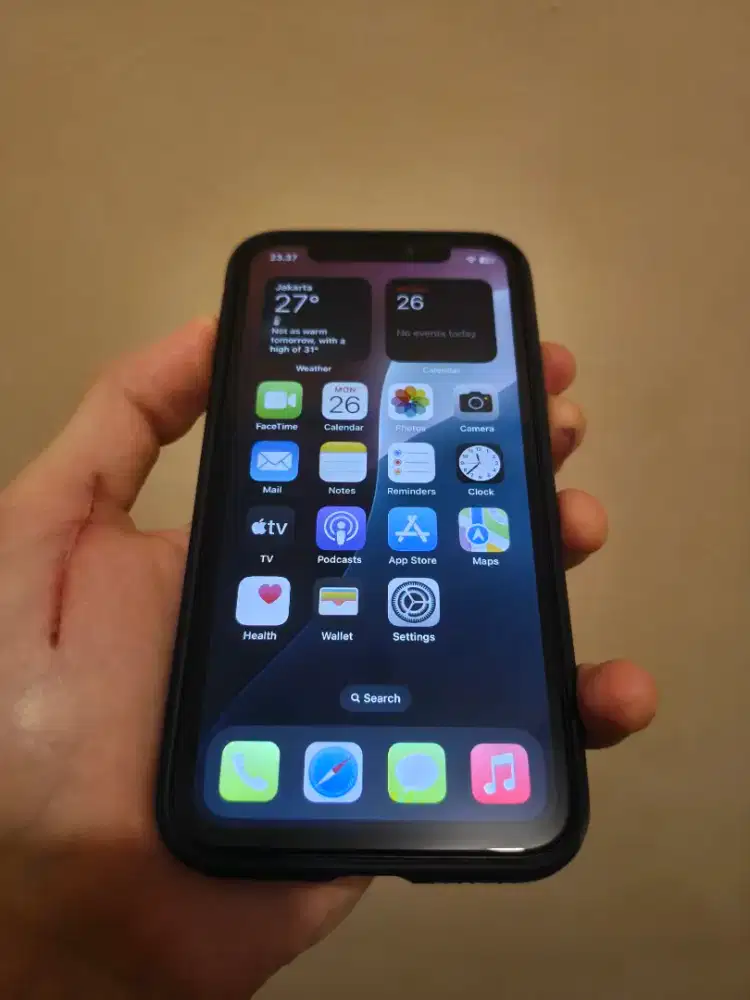 Iphone XS 256 GB