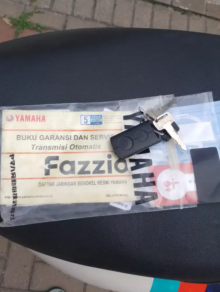 Fazzio kaylles Thun 2025 kodya terawat