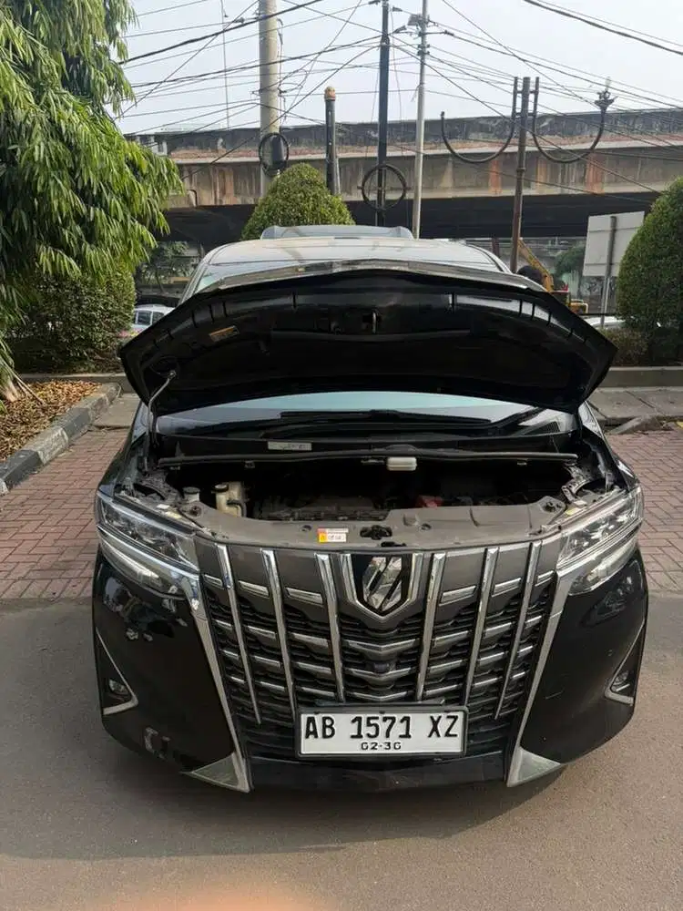 Toyota Alphard 2019 G kilometer rendah