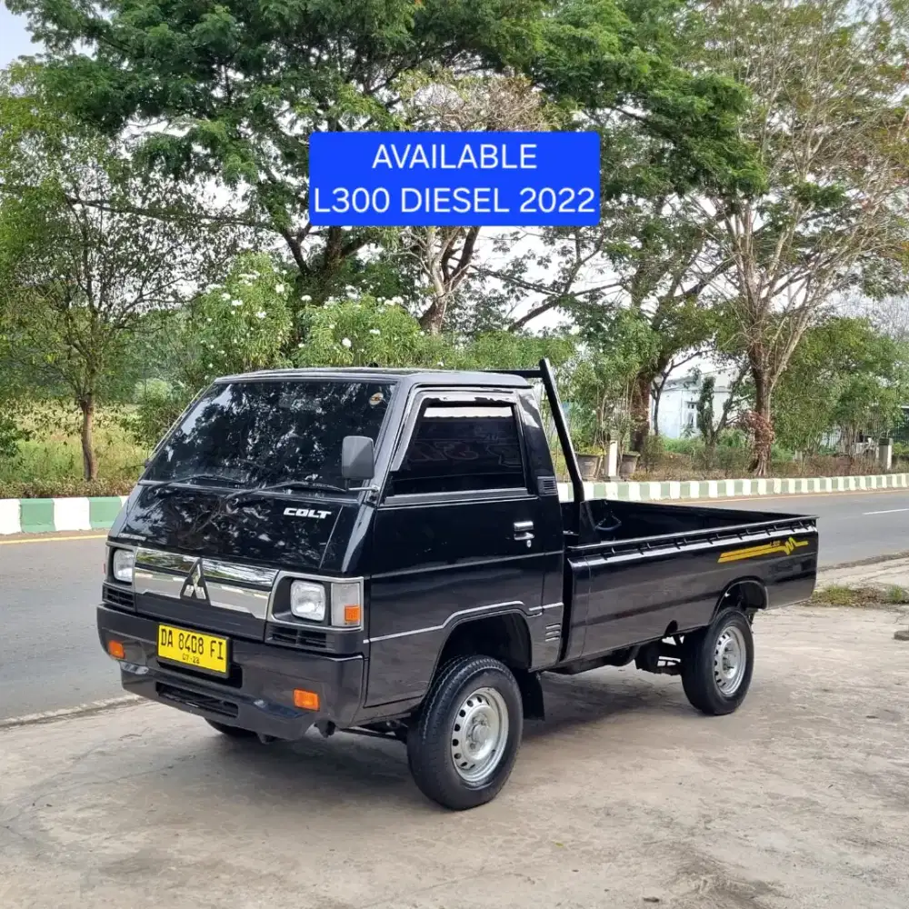 Mitsubishi L300 Diesel M/T 2022