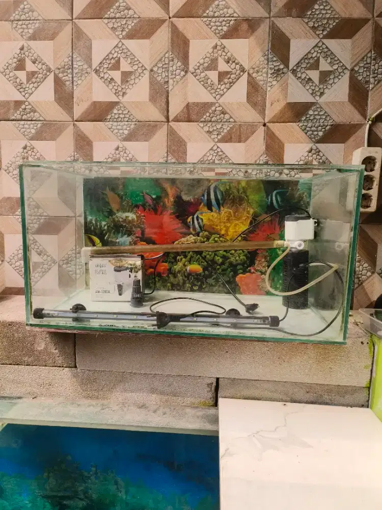 Jual Aquarium komplit
