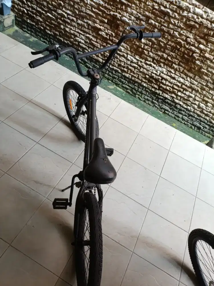 BMX tabibitho frenzy