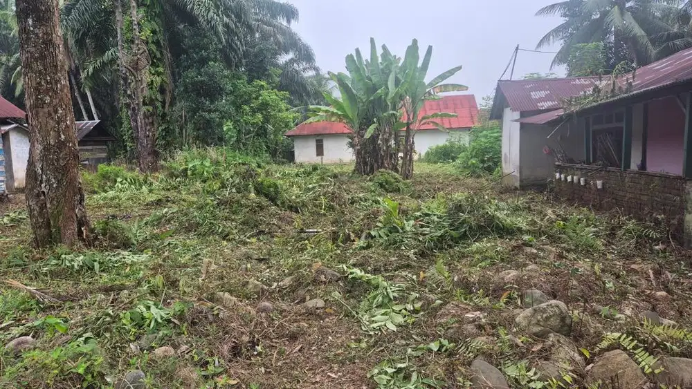 Tanah strategis didepan jalan raya