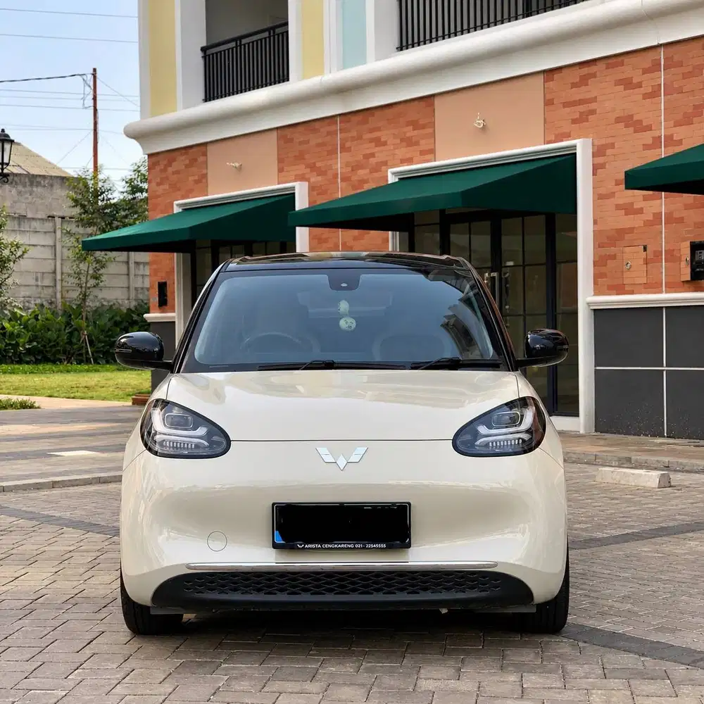 Wuling Binguo Premium range
