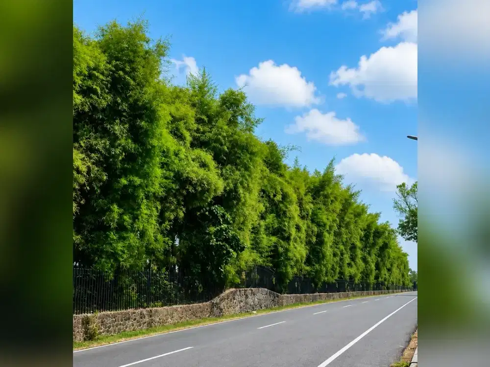 Tanah Dijual di Borobudur, Magelang