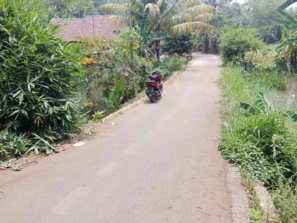 TANAH MURAH DI CIMANGGU RANCABUNGUR BOGOR