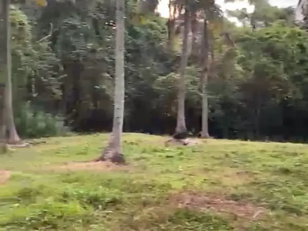 Tanah Murah Lokasi Strategis Cocok untuk Tempat Usaha/Villa