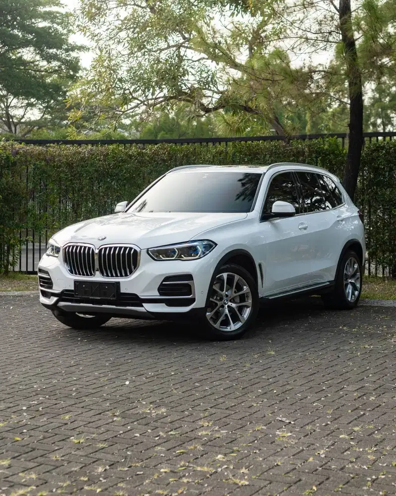 BMW X5 xDrive40i xLine G05