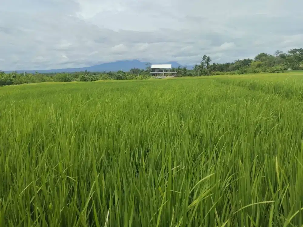 Tanah Premium Lokasi Super Strategis dengan View Sunset