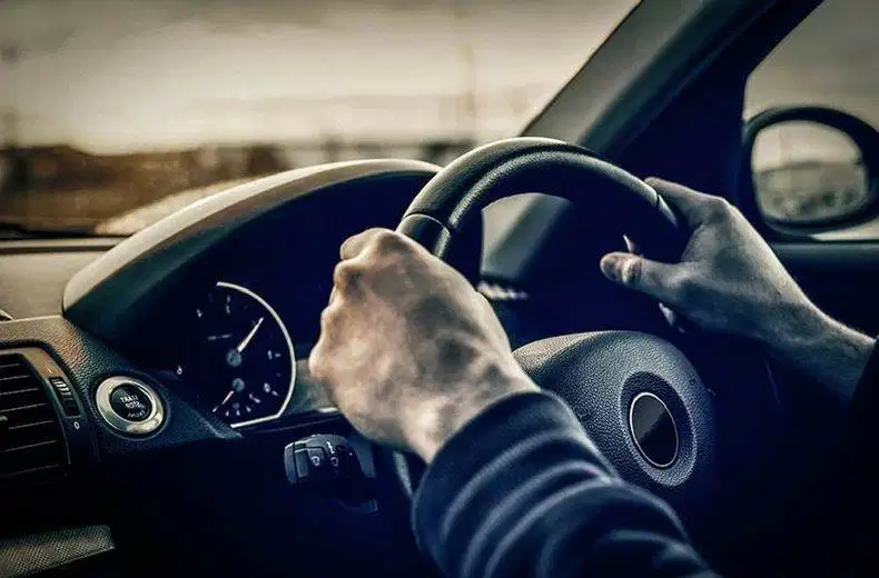 DRIVER SIM B1 (WAJIB TIDAK TAKUT ANJING)