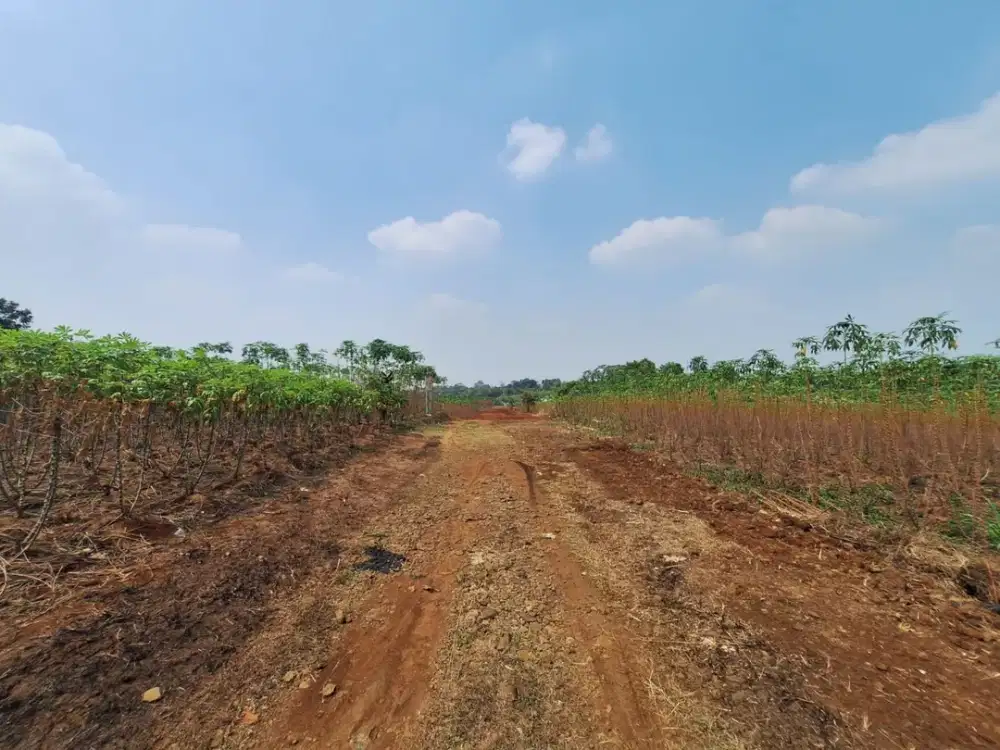 Tanah Murah Bogor, 10 Menit Pas dari Kebun Raya Bogor